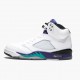 Herren Air Jordan 5 Retro Grape 136027-108 Turnschuhe