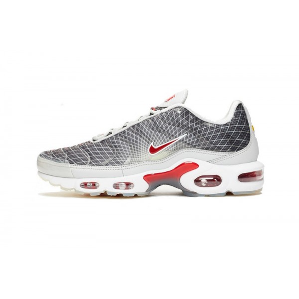 Herren Air Max Plus Tn Grau und Weiß Schuhe