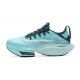 Herren Air Zoom Alphafly Next 2 Blau Schuhe 